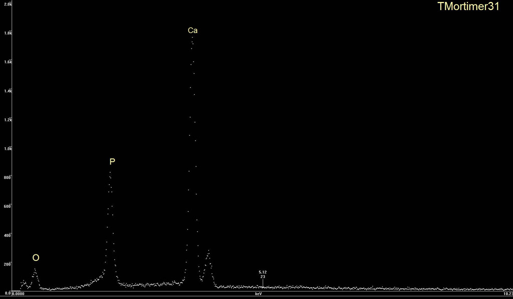 Apatite-(CaOH) EDS plot